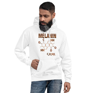 Unisex “Melanin Formula” Hoodie